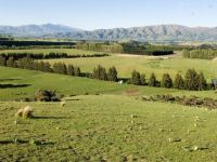 Tourist Rental Glenmac Farmstay from Kurow, Waitaki, Otago