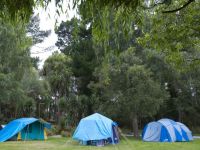 Tourist Rental Spencer Beach Holiday Park from Spencerville, Christchurch, Canterbury