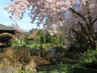 Tourist Rental Cedar Park Gardens B&B from Rolleston, Selwyn, Canterbury