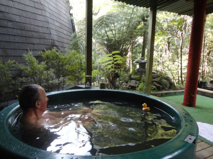 Tourist rental Coromandel Koru Dojo Bush Retreat in Whitianga, Thames-Coromandel, Waikato